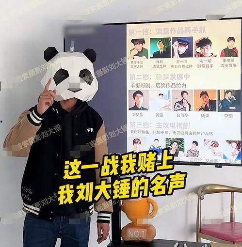 大锤爆料最新视频大全集,揭秘幕后故事，带你领略精彩瞬间